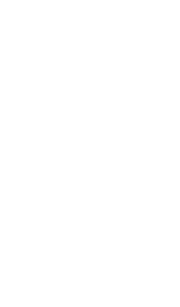 Meia Carcaça Suína (Plancha)